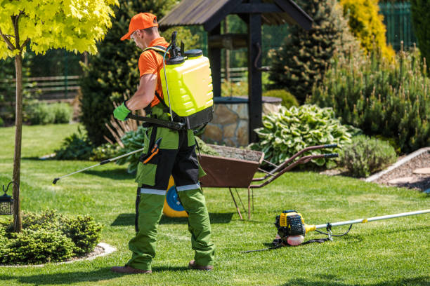 Best Fumigation Services  in Wilton, CA